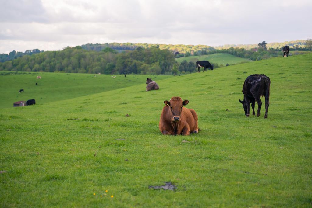 Huntlands Farm Vakantieboerderij