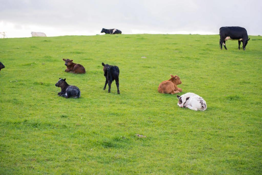 Huntlands Farm * Bromyard